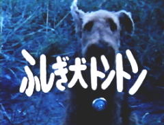 動画 ふしぎ犬トントン